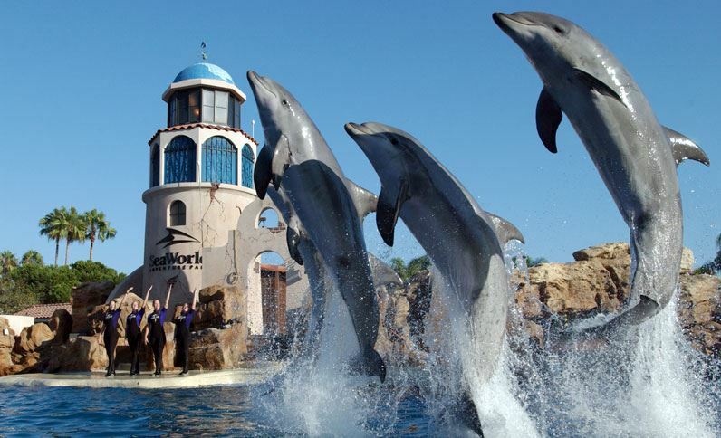 Holiday Inn San Antonio Northwest- Seaworld Area By Ihg Extérieur photo